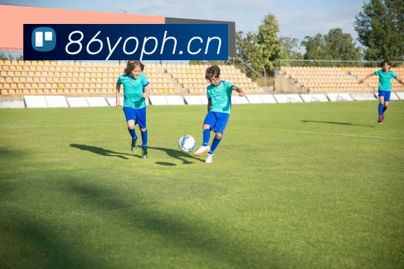 星空电竞网页版入口发展历程